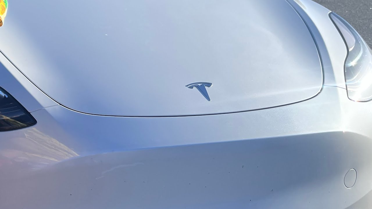 Our new Tesla car pooja at Hanuman Mandhir | Tesla