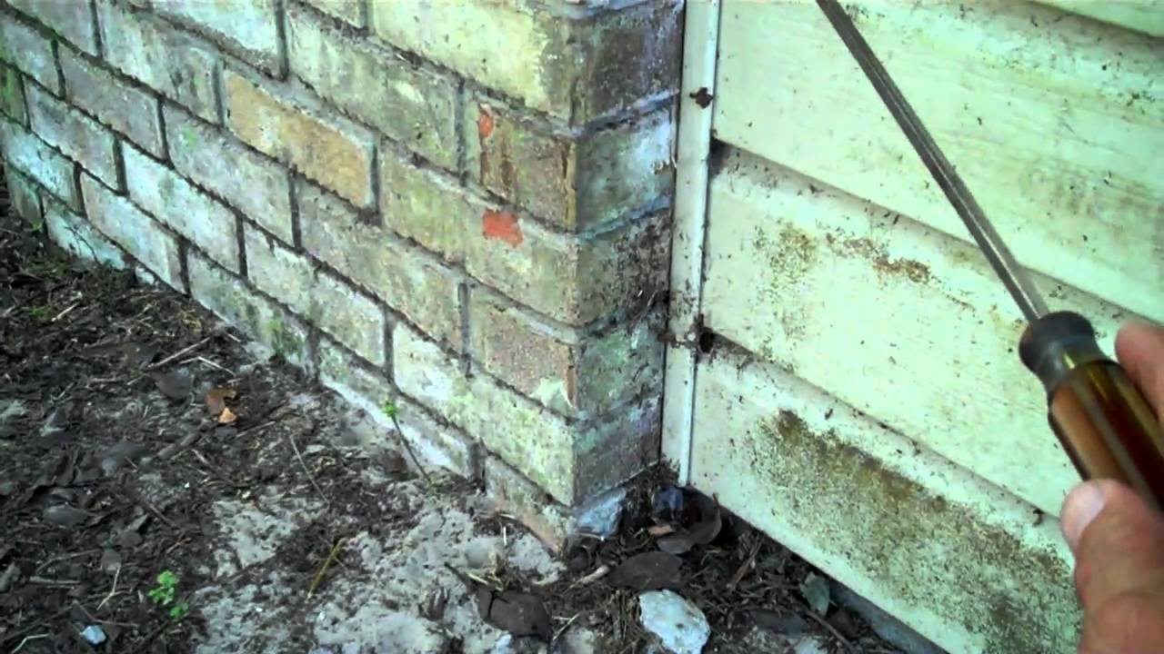 Determining monolithic slab and termite entry