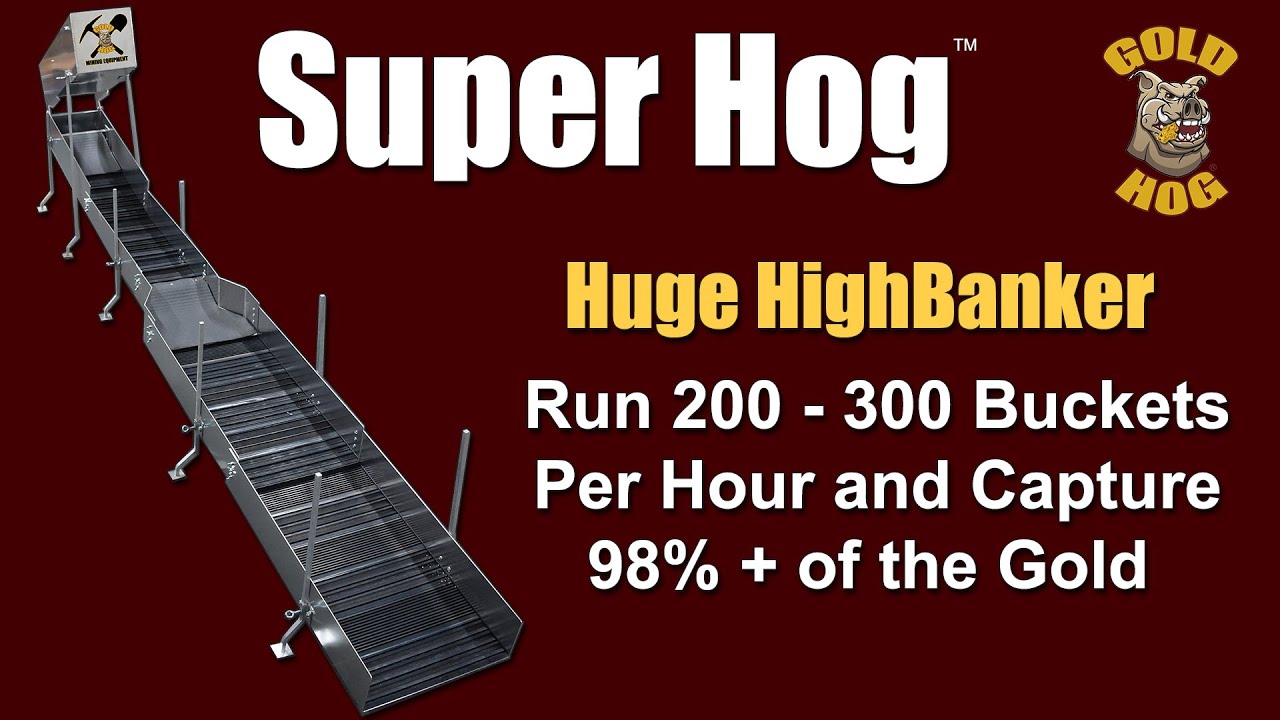 SUPER HOG — Крупный золотой банкир