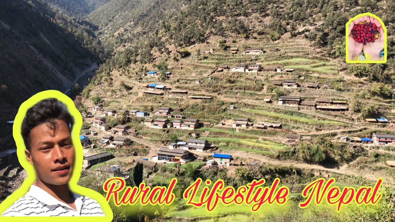 Village Life😍First Vlogs #Vlog1🙏 ||Kapid Vlogs||