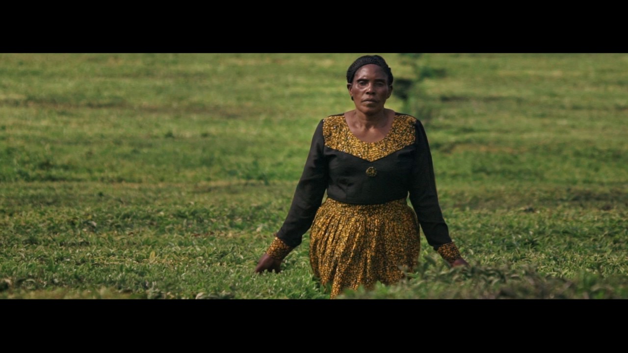 Chai Bora: A first step out of poverty