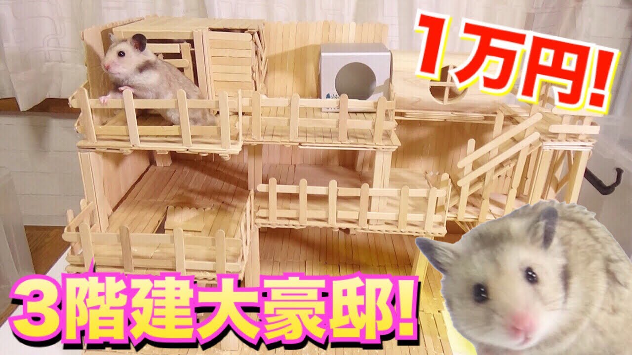 【1万円】ハムスターの”３階建”大豪邸を作る！！！　アイス棒でDIY1万円企画