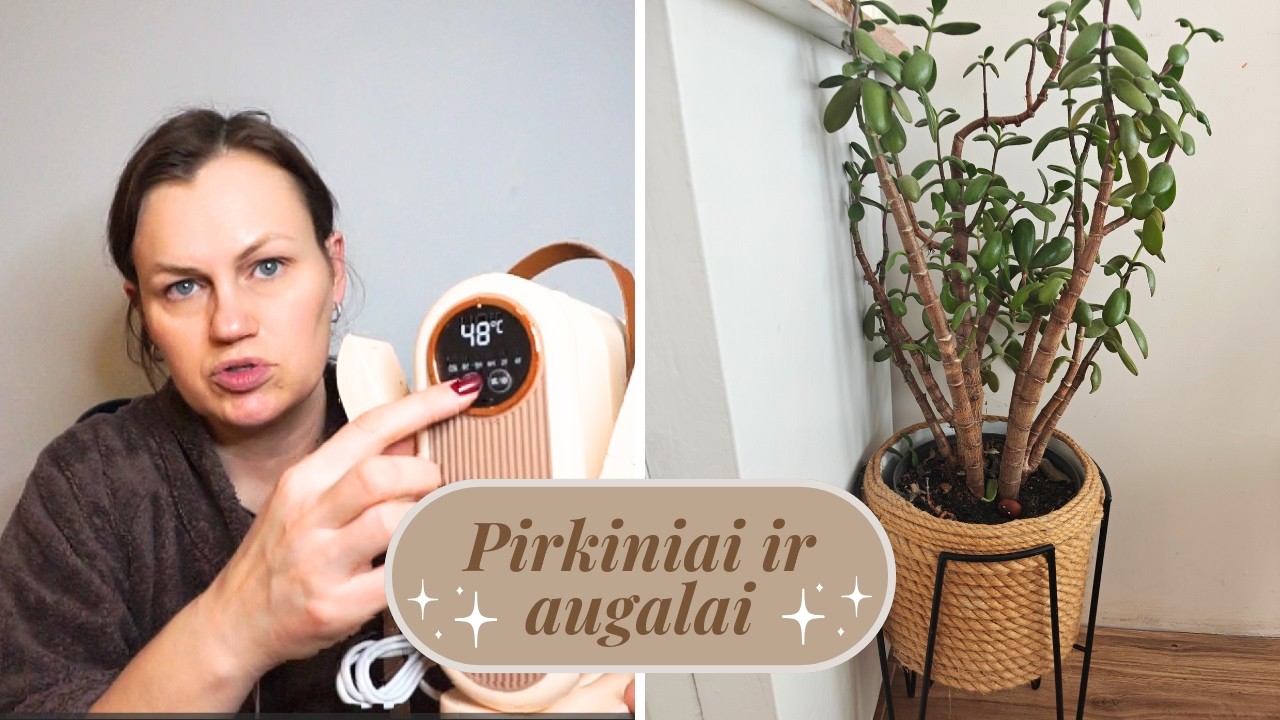 Aliexpress pirkiniai ir augalai | Vlog iš namų