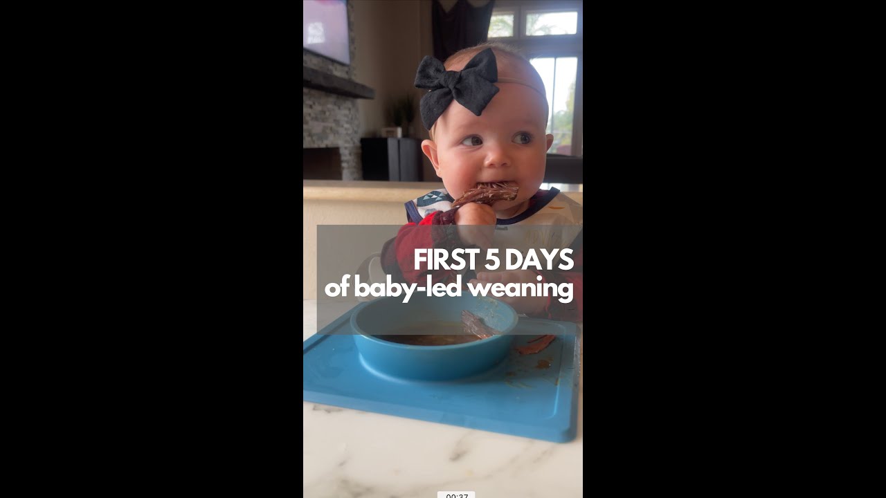 Dietitian&rsquo;s First 5 Days of BLW