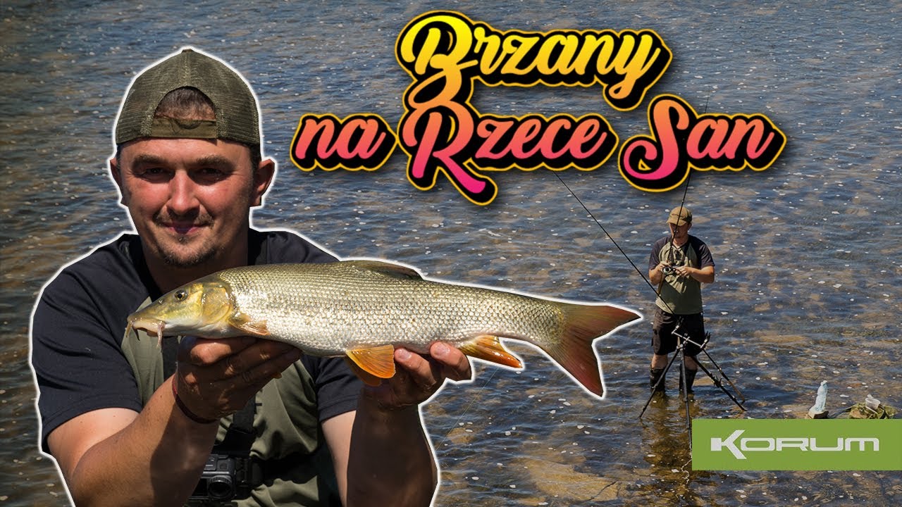 Brzany na Rzece San