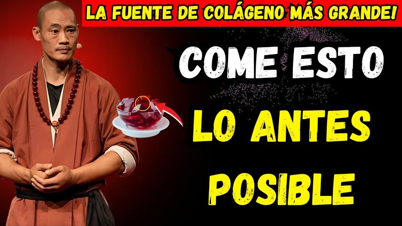 8 alimentos ricos en colágeno que DEBES comer para tus piernas y articulaciones - shi heng yi