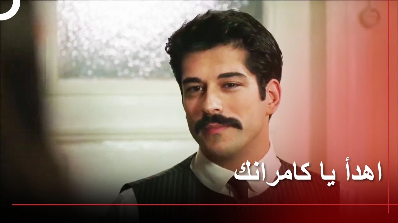 كمران منبهر بالغيرة |  طائر النمنمة