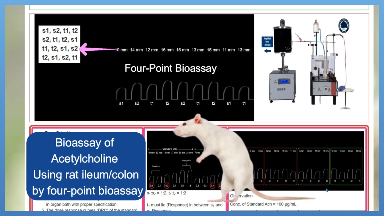 Four Point Bioassay Method &ndash; Complete Calculation with Example