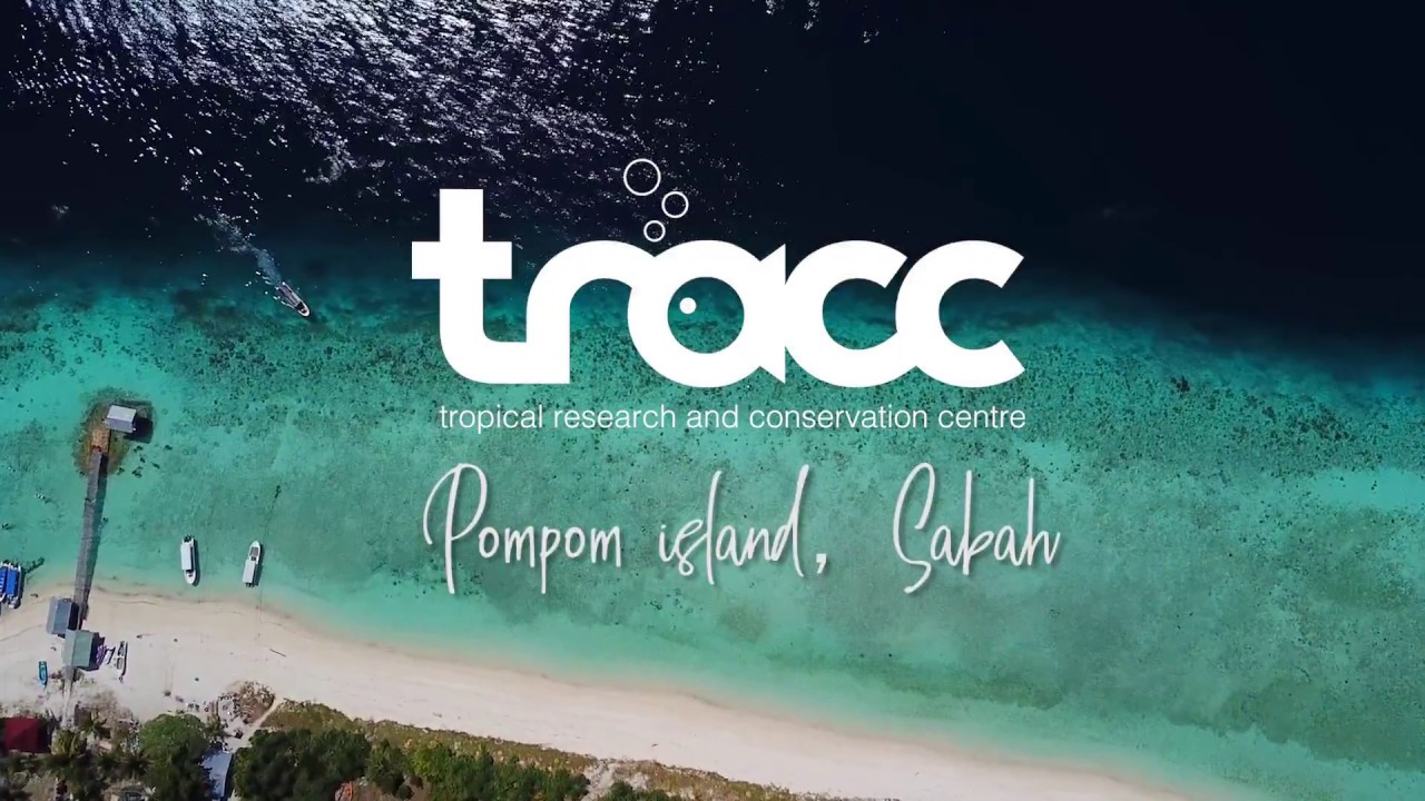 TRACC Marine Science A-level promo by Els van den Eijnden