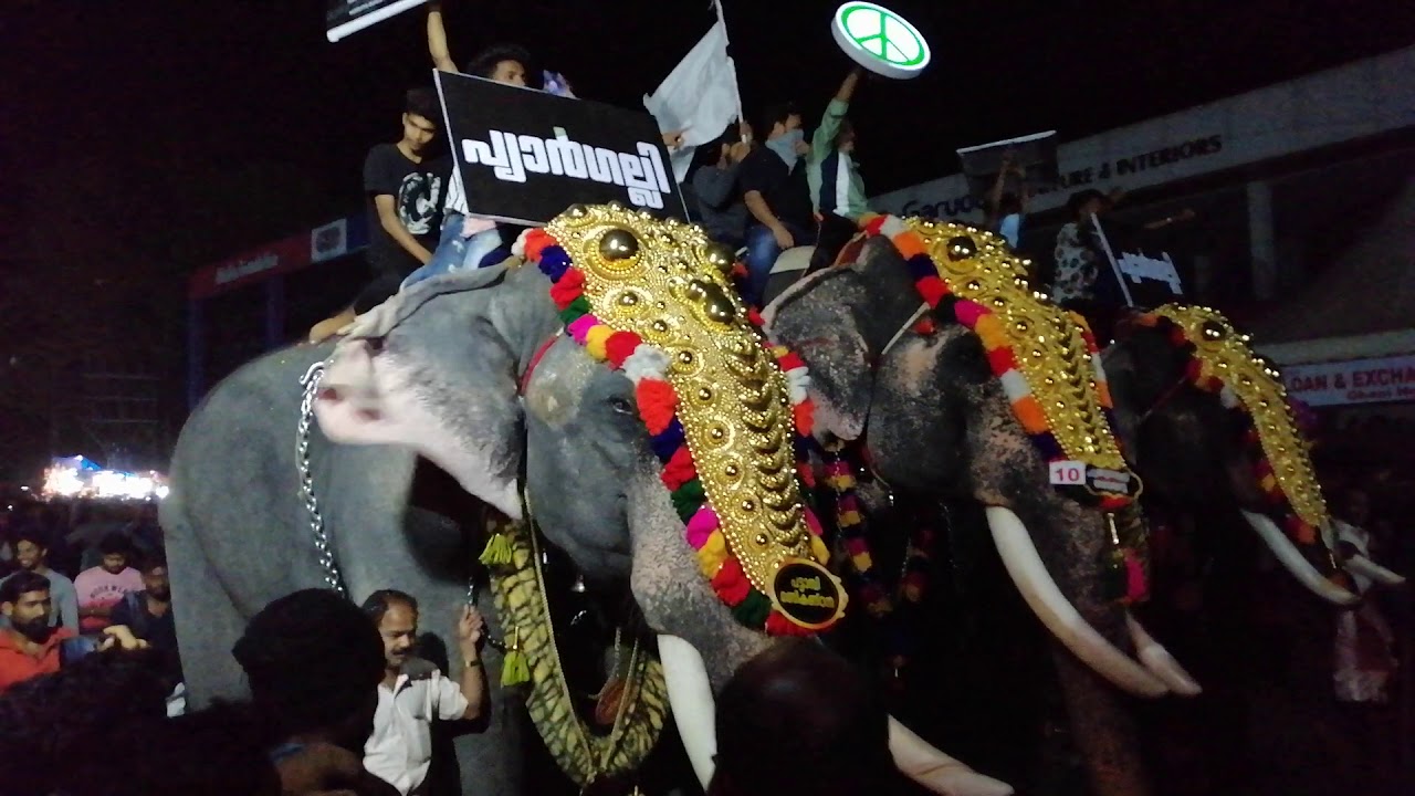 Pattambi nercha 2019