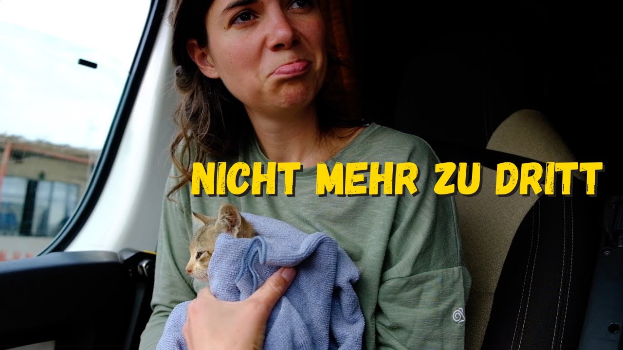 WIR RETTEN EINE KATZE VON DER STRAßE | Vanlife in Südamerika