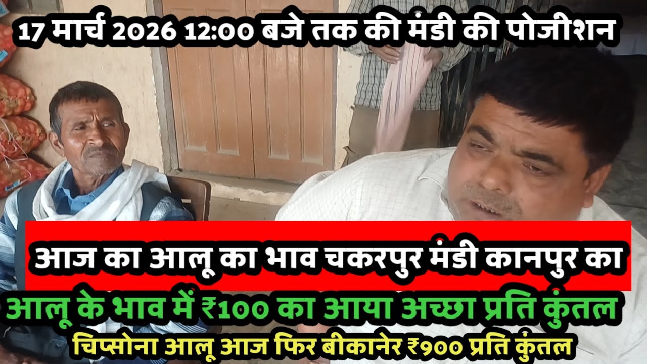 आज का आलू का भाव चकरपुर मंडी कानपुर का 17 मार्च 2026 12:00 बजे तक की मंडी की पोजीशन 