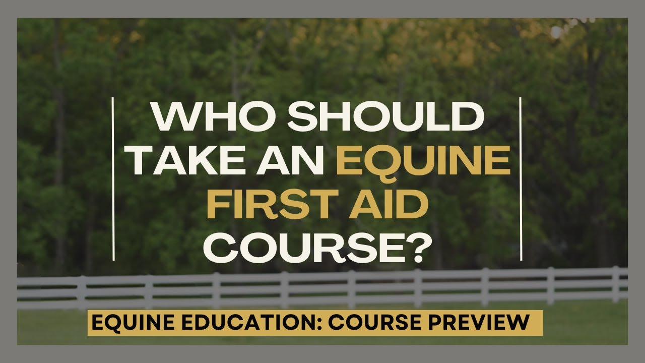 Who Should Take an Equine First Aid Course?