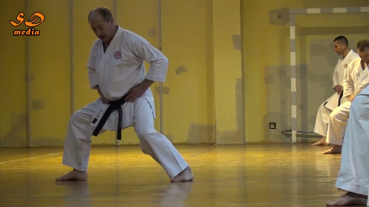 Karate klub Omladinac - Niš ,  trening - Velibor Dimitrijević-Veba
