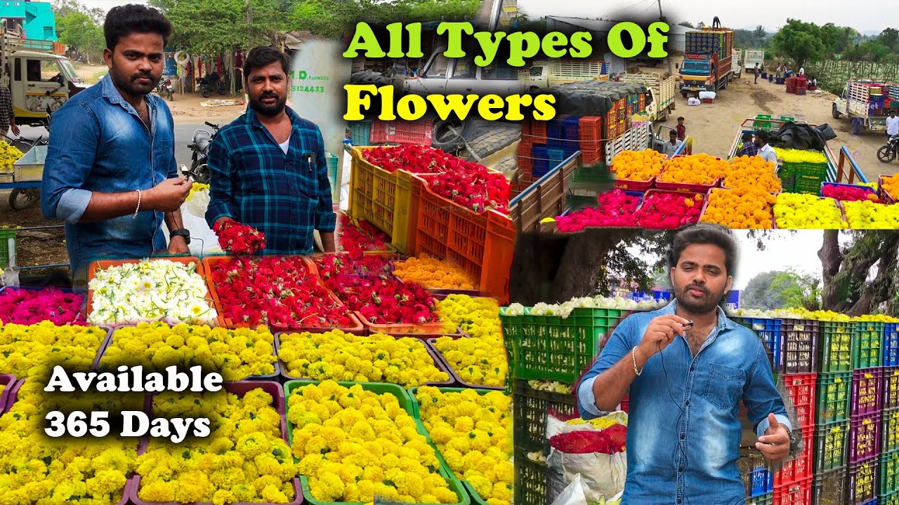 Flowers Market - Flowers Market in Tamil Nadu - Whole Sale Flower Market - Stage Decorative Flowers