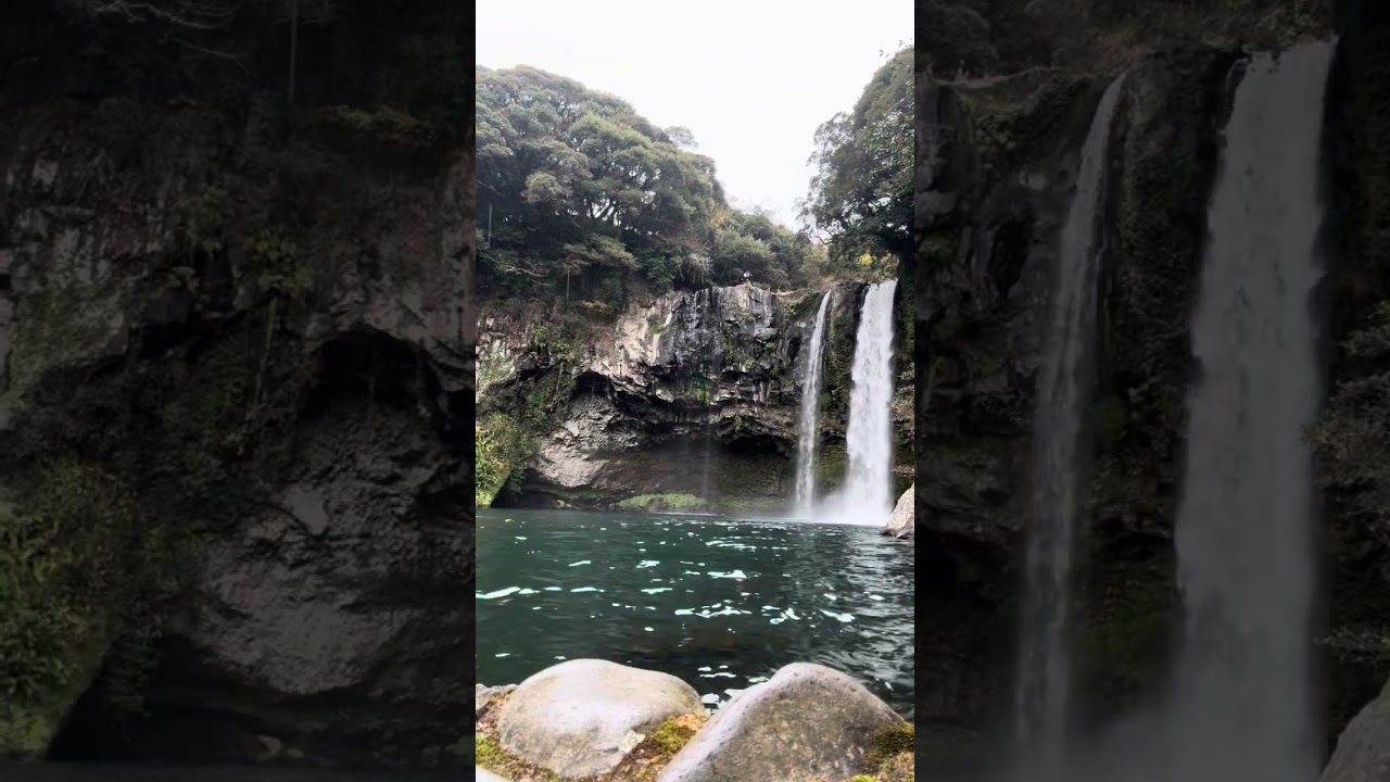 Cheonjiyeon Waterfall / 천지연폭포 / #천지연폭포  #seogwipo #jeju #jejuisland
