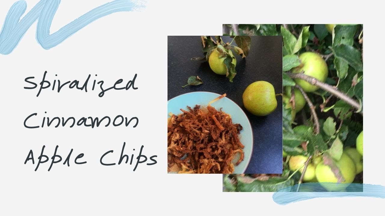 Spiralized Cinnamon Apple Chips | super fun