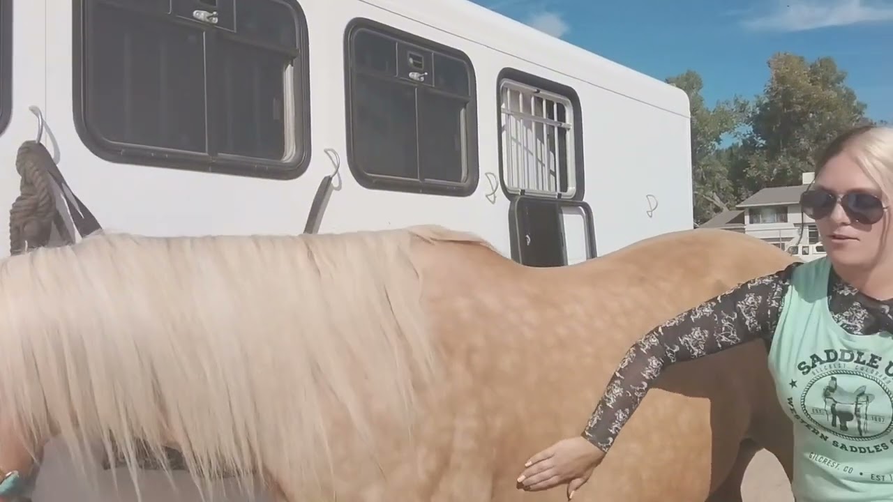 Proper Western Saddle Placement | Step-by-Step Guide for Every Ride