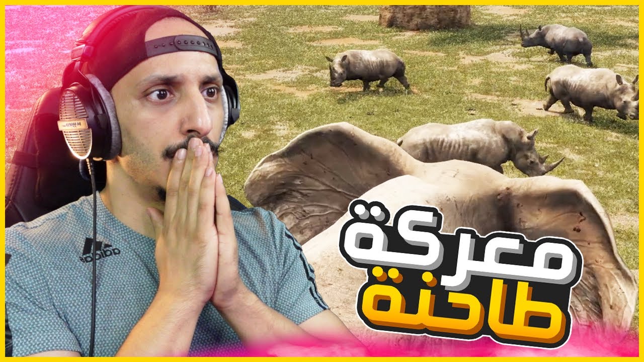 انيمليا سيرفايفل #9 | معارك الفيل ضد النمور ووحيد القرن Animalia Survival