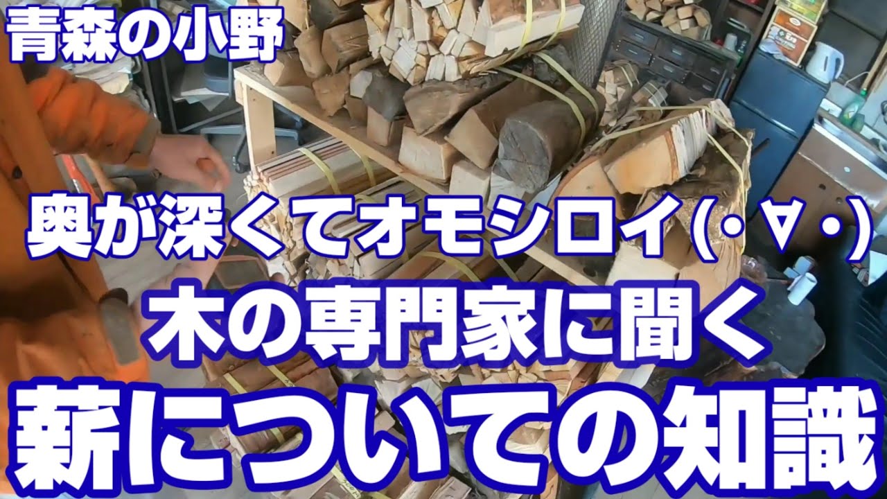 薪ストーブ初心者必見！ 木の専門家に「薪」のアレコレ教えて貰いました。