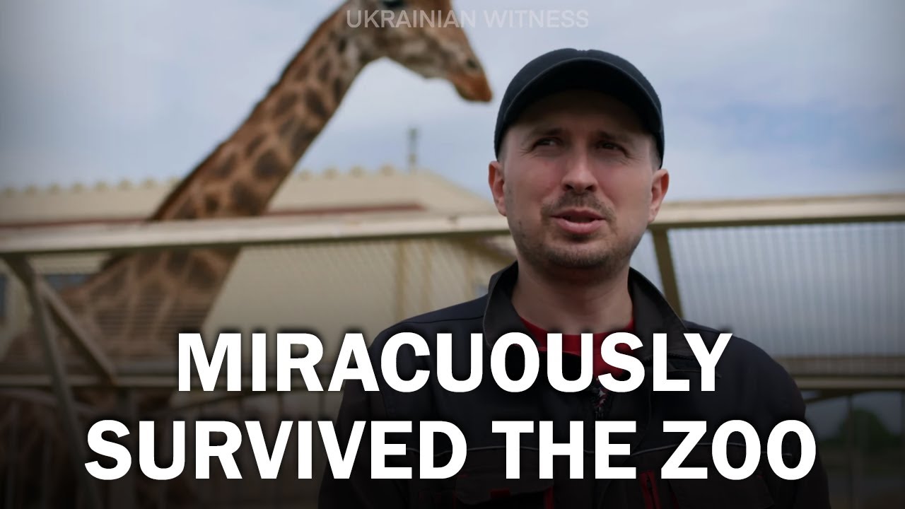 Оаза спокою і доброти посеред розрухи! 🦒🦜 Зоопарк «12 місяців», Київщина | Український свідок