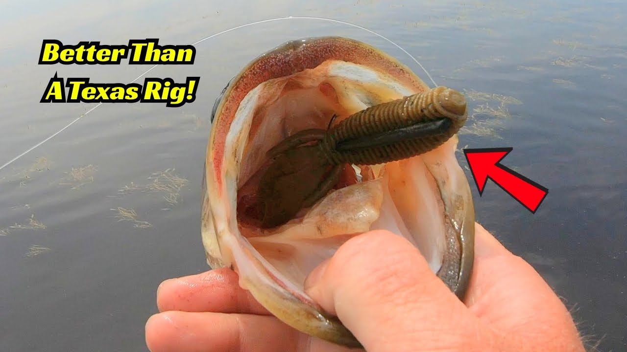 The Texas Rig Replacement! It&rsquo;s Just Better!