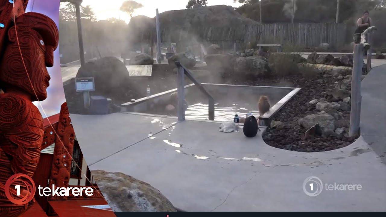 Ngāwhā hot springs reopens