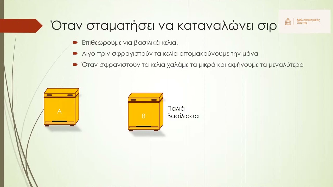 Βασιλοτροφία για λίγες Βασίλισσες