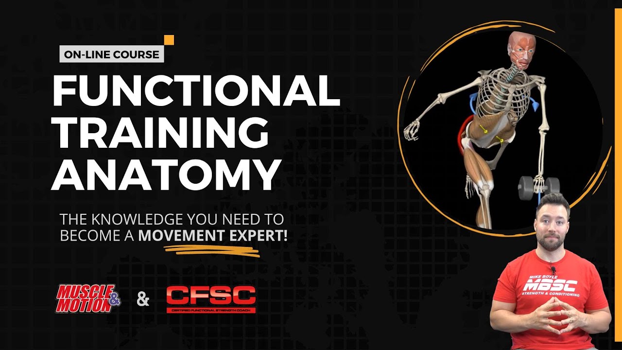 Online Course | Functional Training Anatomy
