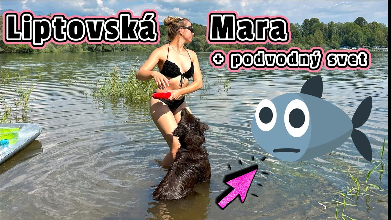 Výlet na Liptovskú Maru ⛵ so psami 🐾 + 🎦podvodný život 🐳| video so psom | ryby | podvodné zábery