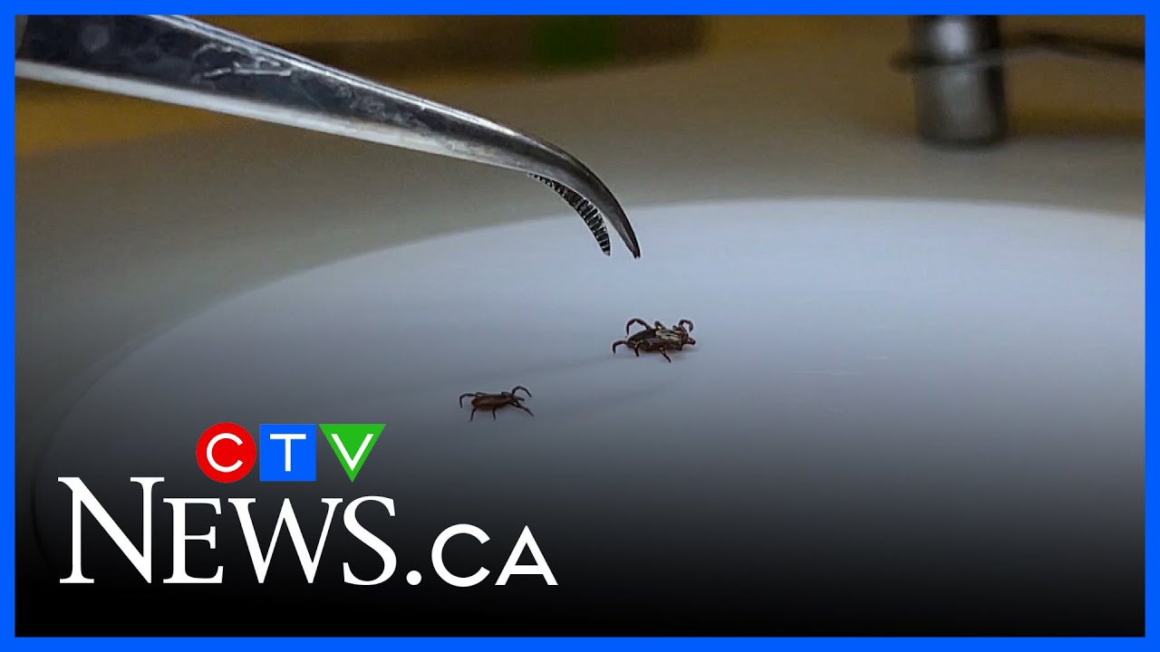 NS idea: All-natural tick repellent