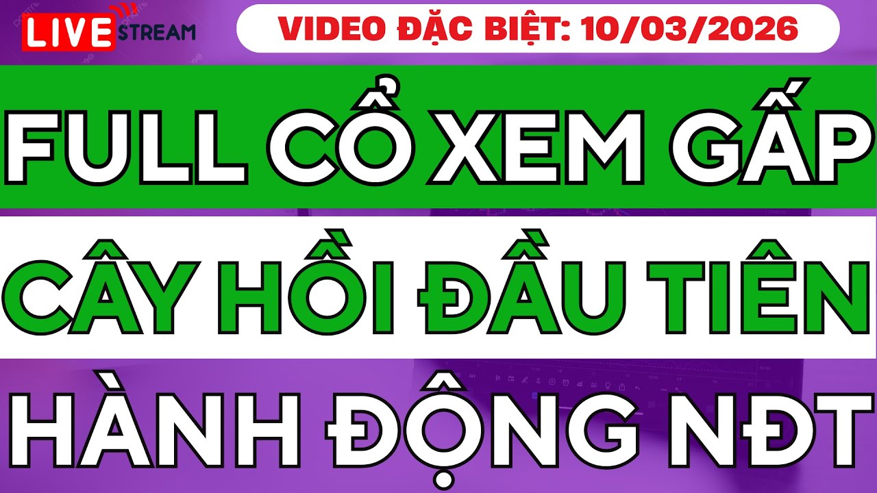FULL CỔ Xem Gấp! Khi Nào Xuất Hiện Cây Hồi Đầu Tiên Của Thị Trường? Hành Động Quan Trọng Cho NĐT