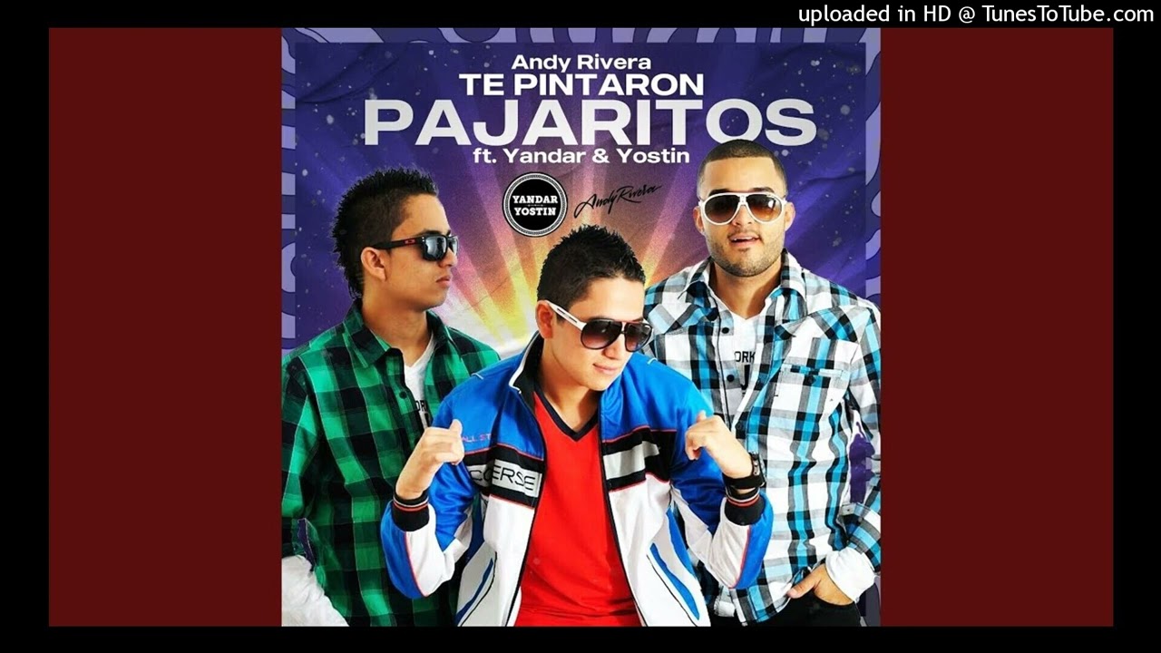 Te Pintaron Pajaritos - Yandar & Yostin feat. Andy Rivera (Acapella Editada)