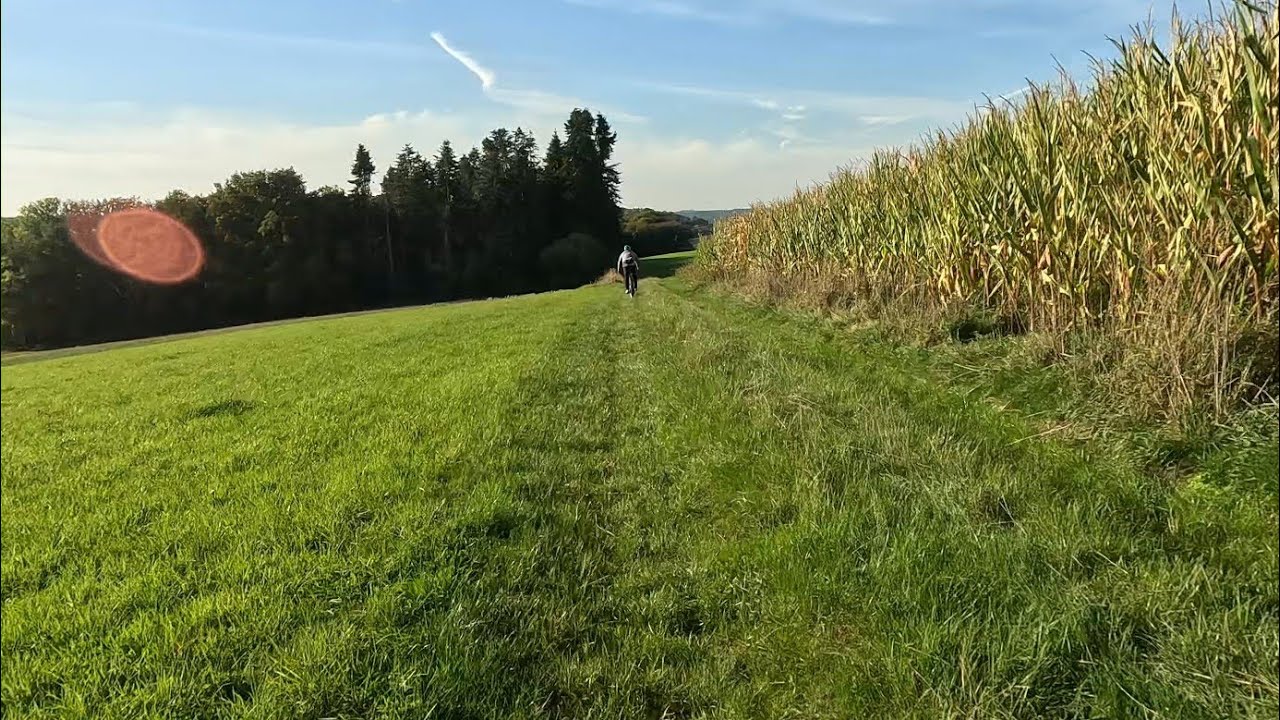 Hometrails, MTB, Herbst und traumhafte Bedingungen mit @Tynavis 