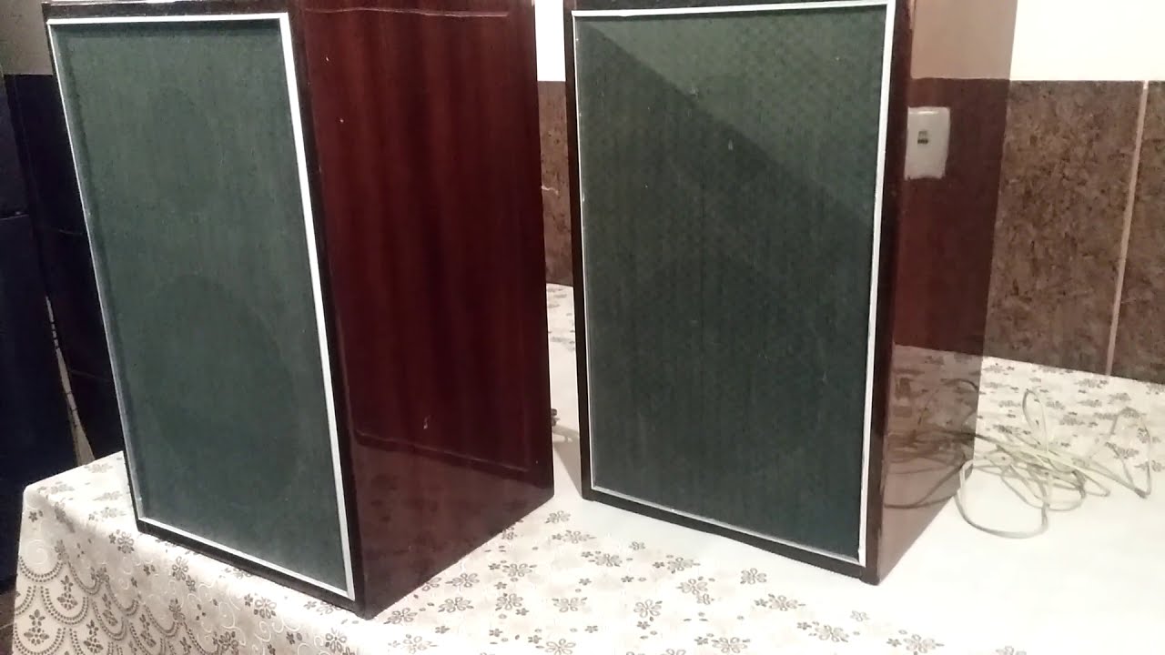 Акустика 10АС-401 1982 года за 20$|краткий обзор | низкочастотный динамик 10 гд-30б