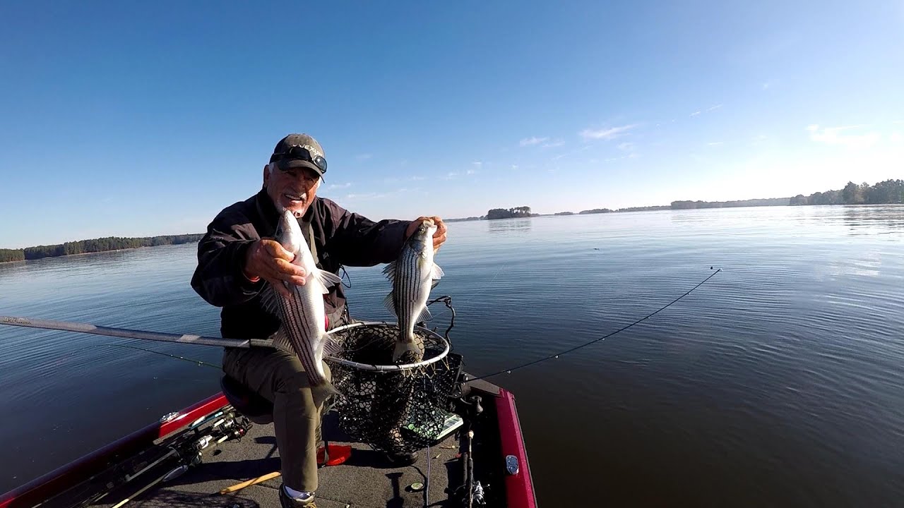 Perch & Stripers Bonanza On Charlie Brewer Jigs
