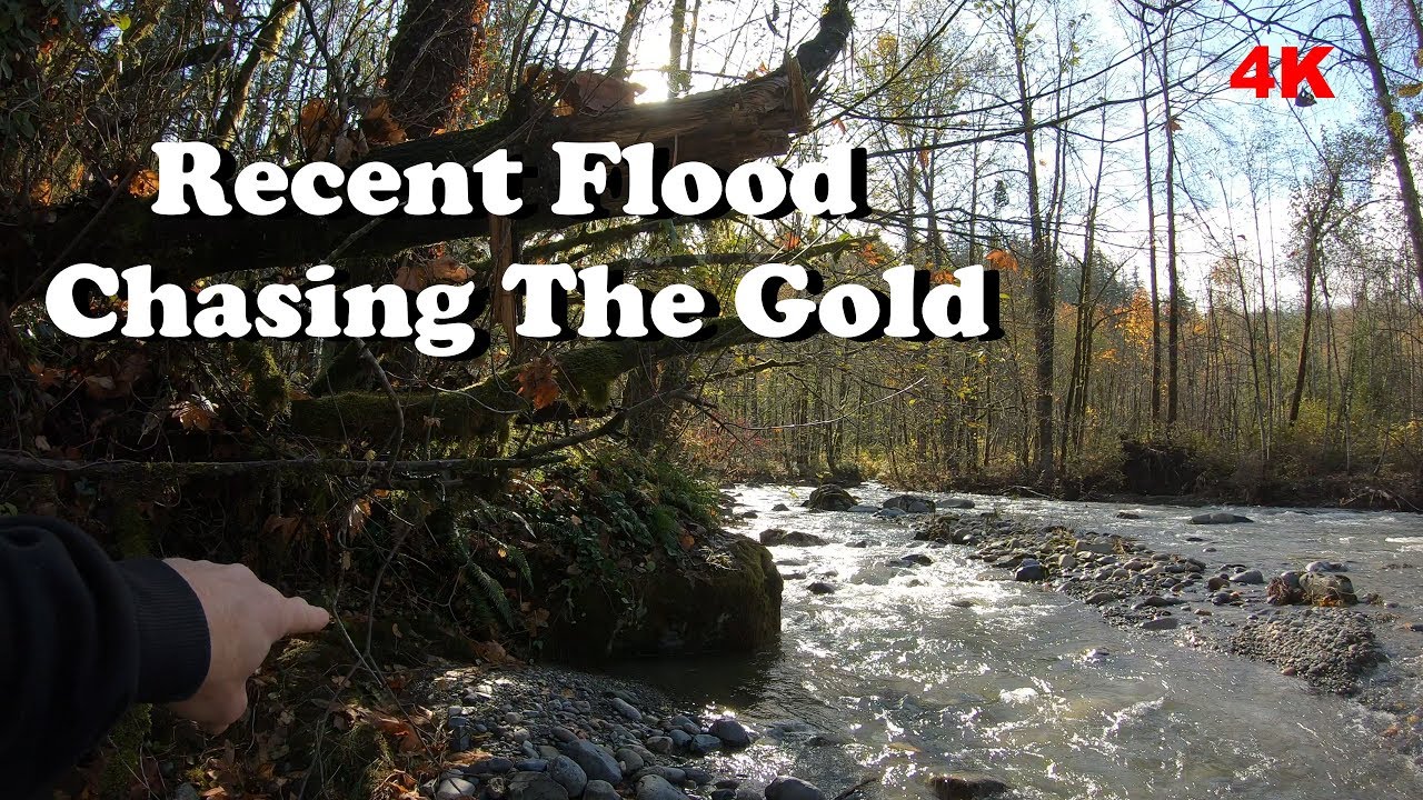 Recent Flood And Chasing The Gold
