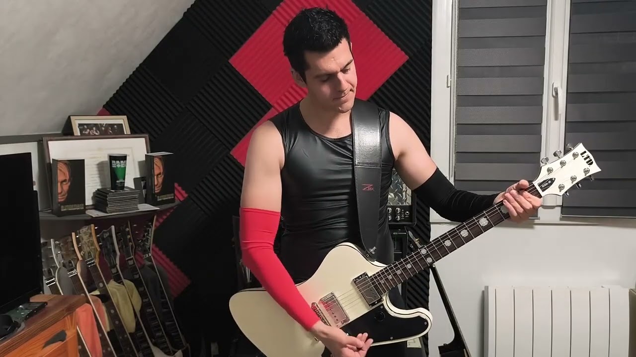 Rammstein - Reise Reise guitar cover