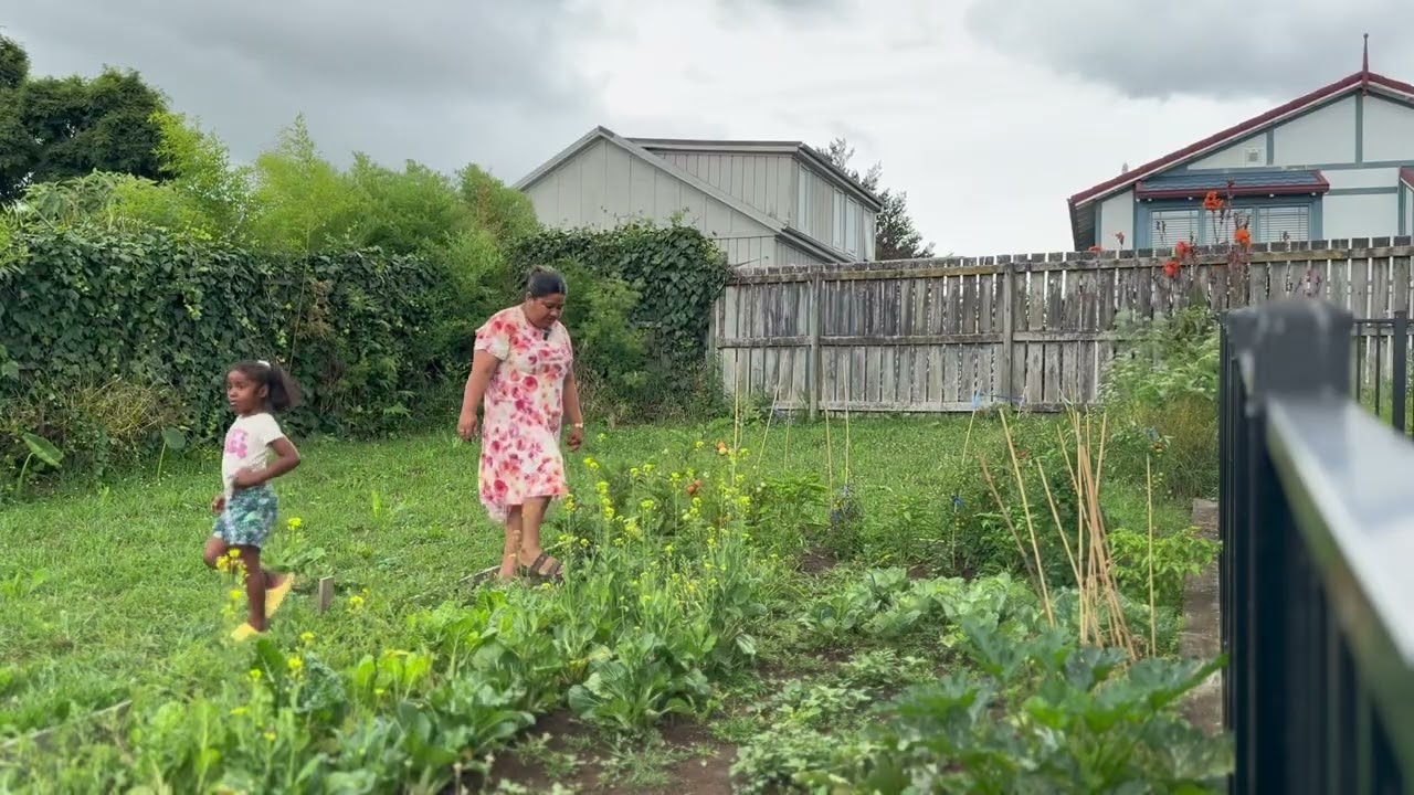 Another beautiful week here in Hamilton🤍 Our little garden at the backyard and Otai Fundraising🤍