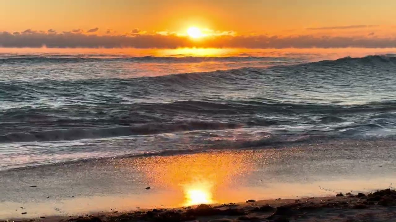 Ocean smoke Florida Feb 1st 2026
