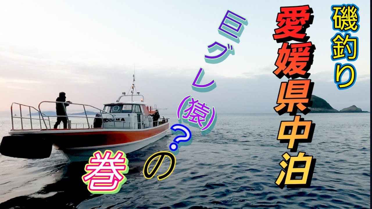 1/22愛媛県愛南町【中泊】【水中映像】複雑な中泊の潮を攻略せよ　出るか巨グレ(猿)❔