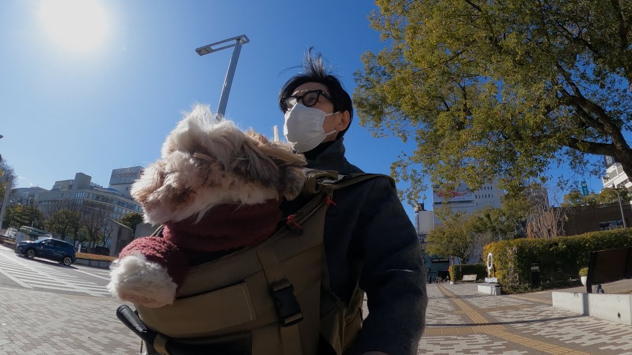 『愛犬とAIR BUGGYを買いに行く』犬・エアバギー・大須商店街