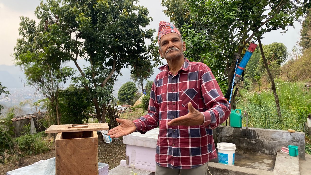 बित्पाते मौरीले घारभित्र के कस्तो काम गर्छन् ? | Nepal Bee Keeping