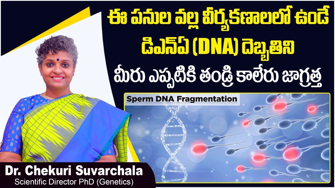 వీర్యకణాలలో ఉండే డిఎన్ఏ || Sperm DNA Fragmentation Test || Dr Chekuri Suvarchala || Ziva Fertility