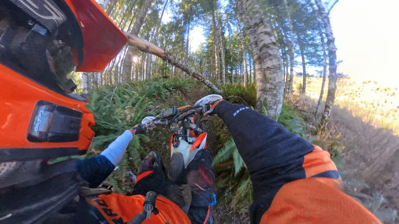Deer Fence -Trial 71 & Bonus Singletrack