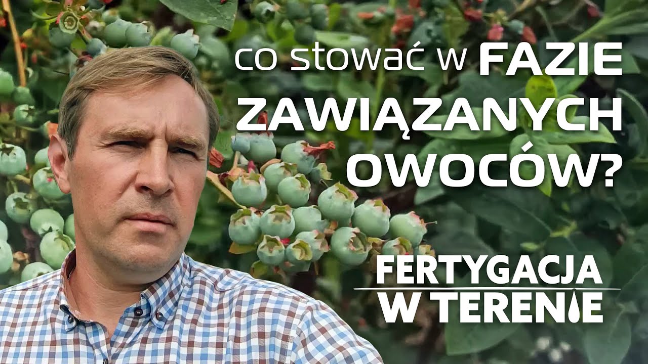 Co stosować w fazie zawiązanych owoców? - Fertygacja w terenie Marcin Gutkowski