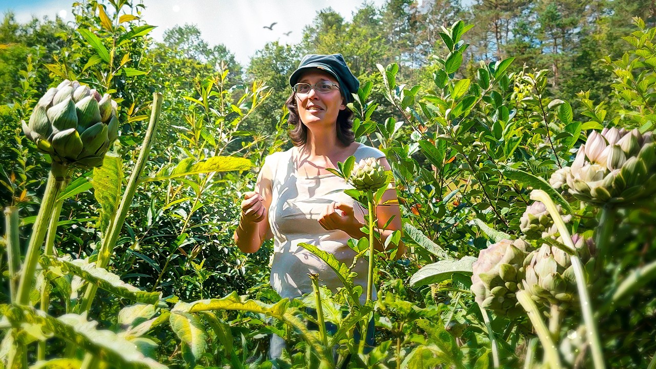 La SYNTROPIE va changer notre vision de L'AGRICULTURE à tout jamais