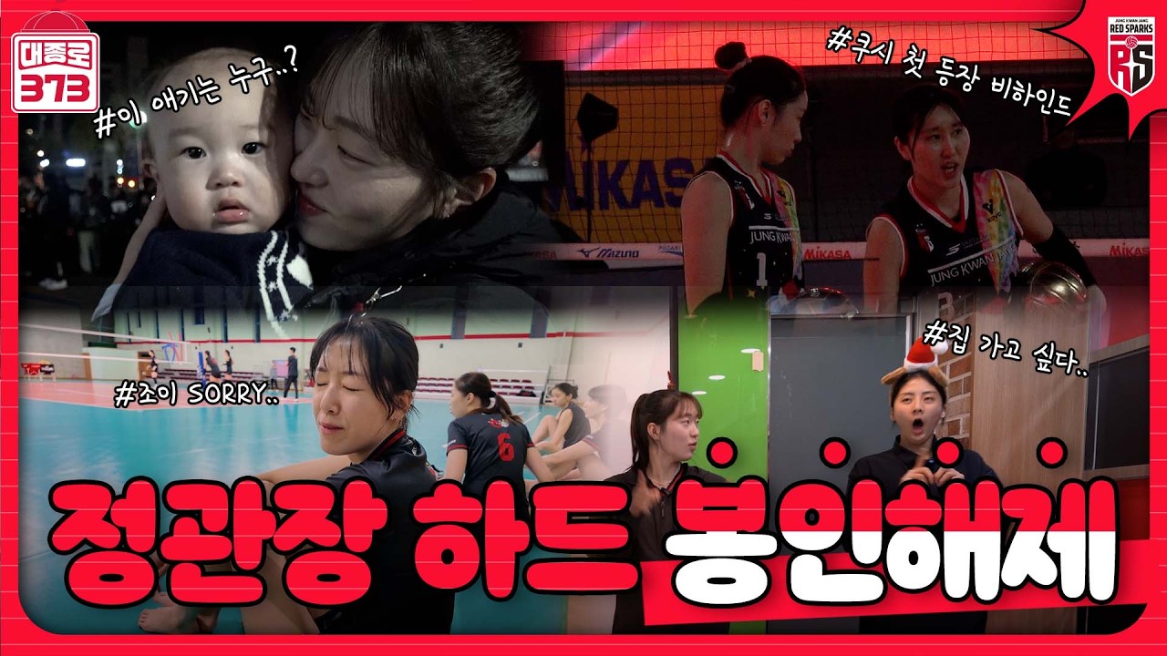 설날 선물 대신 정관장 하드 털어드립니다🎁 [정관장 하드털이 모음zip.]
