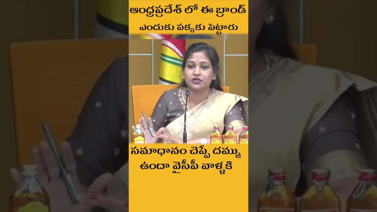 vangalapudi anitha sesetional comments on y s jagan -vn9news