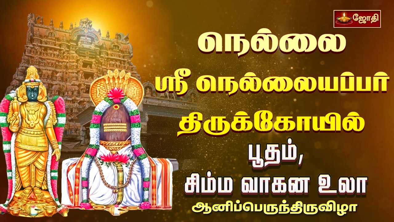 நெல்லை ஸ்ரீ நெல்லையப்பர் கோயில் - பூதம், சிம்ம வாகன உலா | Tirunelveli | Jothitv